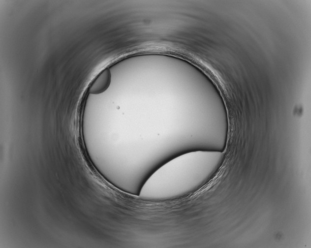 X0000101101467200806261033
