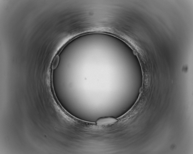 X0000101101468200806261033