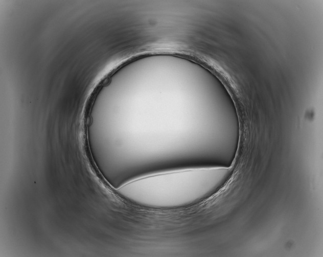 X0000101101469200806261033