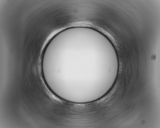 X0000101101470200806261033