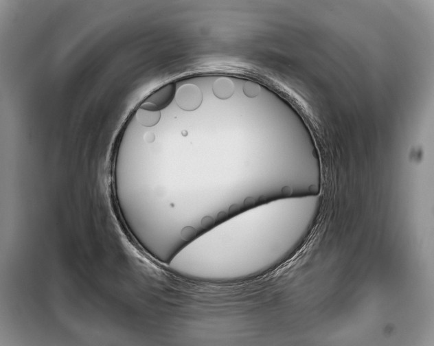 X0000101101471200806261033