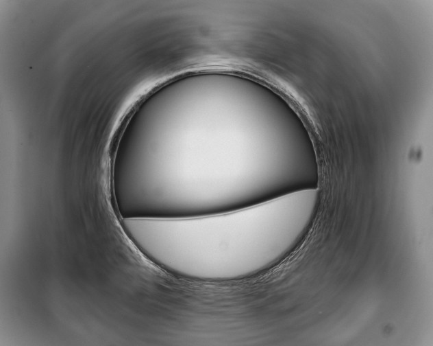 X0000101101472200806261033