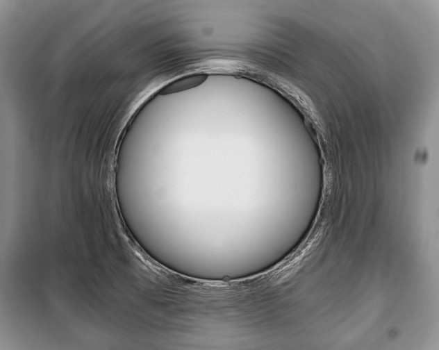 X0000101101473200806261033