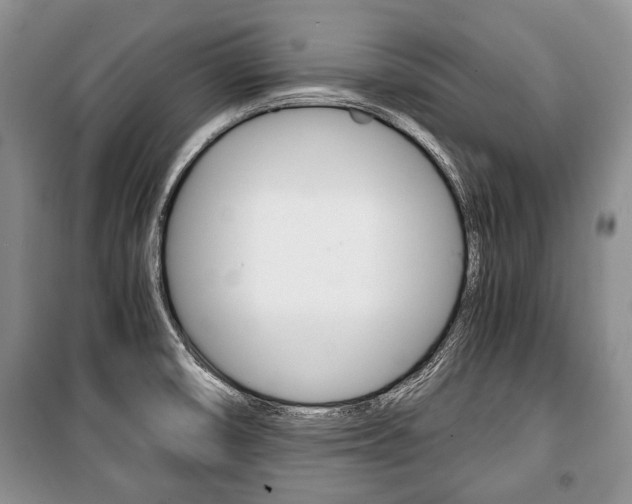 X0000101101474200806261033