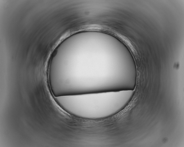 X0000101101475200806261033