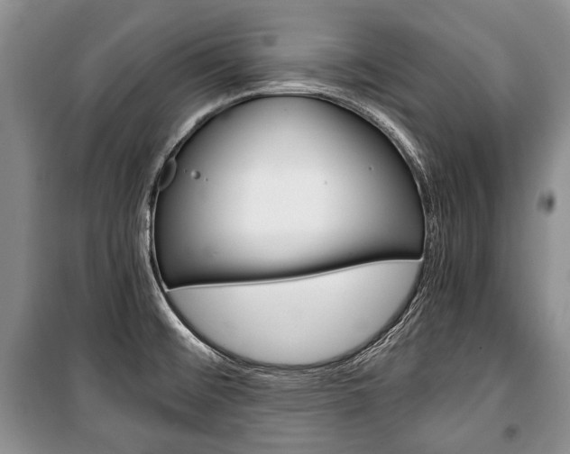X0000101101476200806261033
