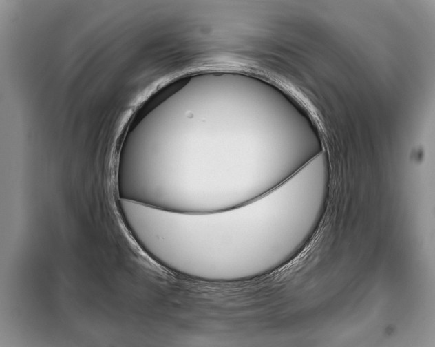 X0000101101477200806261033