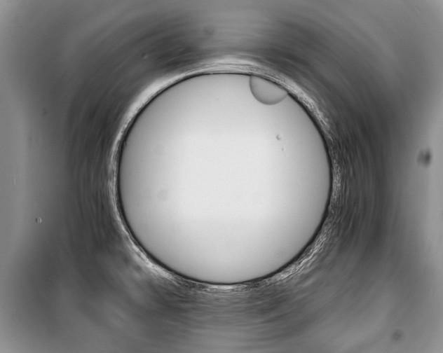 X0000101101478200806261033