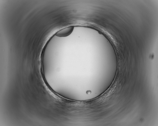 X0000101101479200806261033