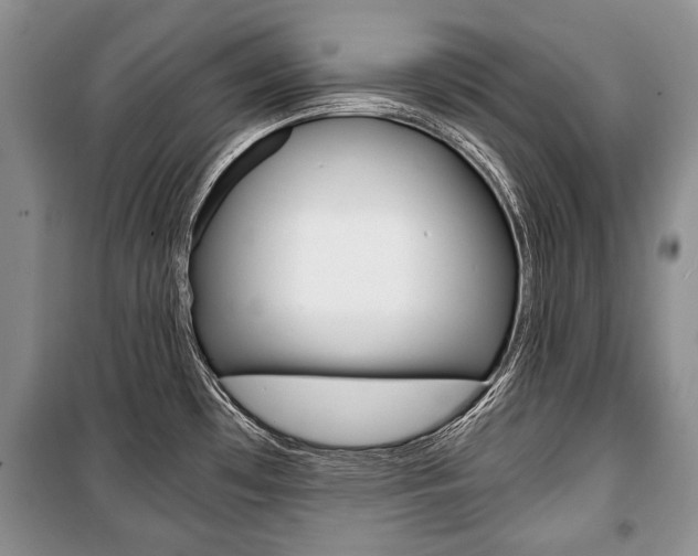 X0000101101481200806261033