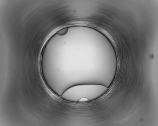 X0000101101482200806261033