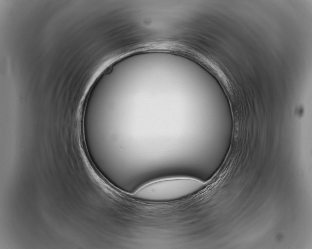 X0000101101483200806261033