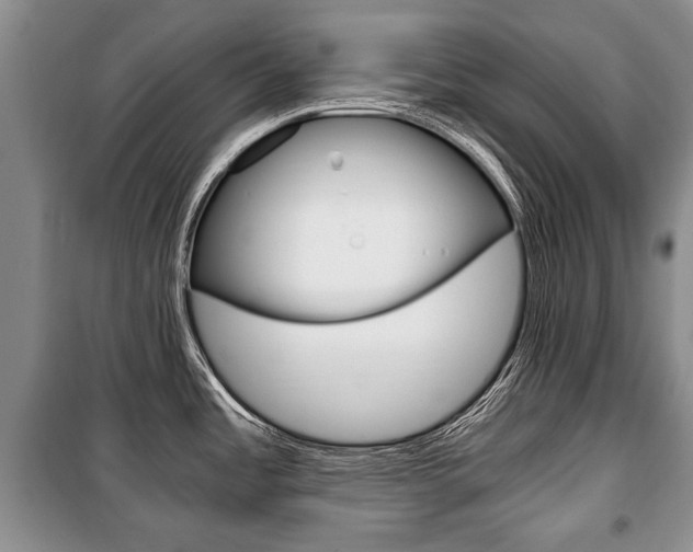 X0000101101485200806261032