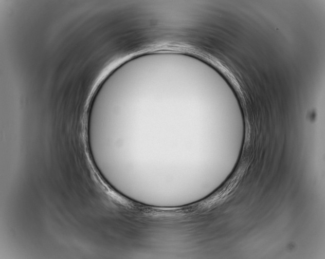 X0000101101486200806261032