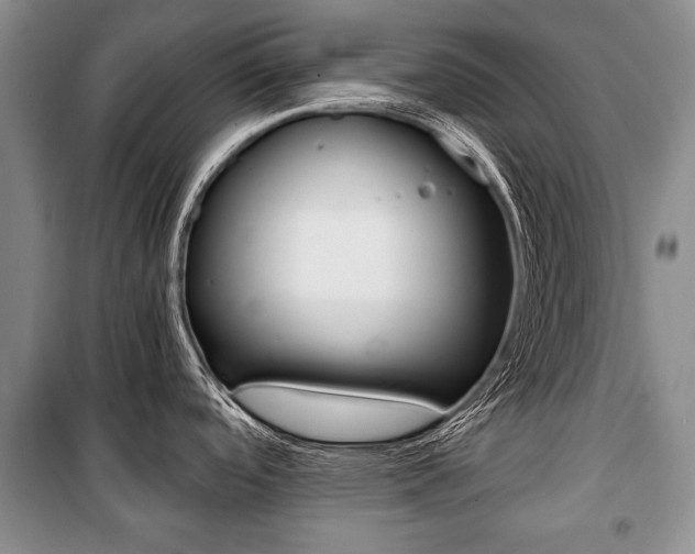 X0000101101488200806261032