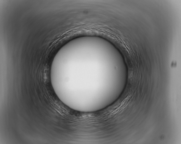 X0000101101490200806261032
