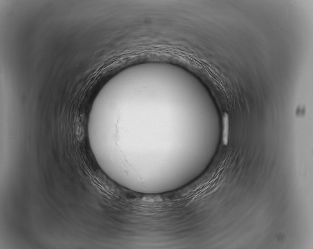 X0000101101491200806261032