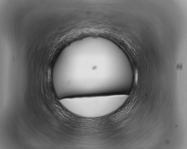 X0000101101492200806261032