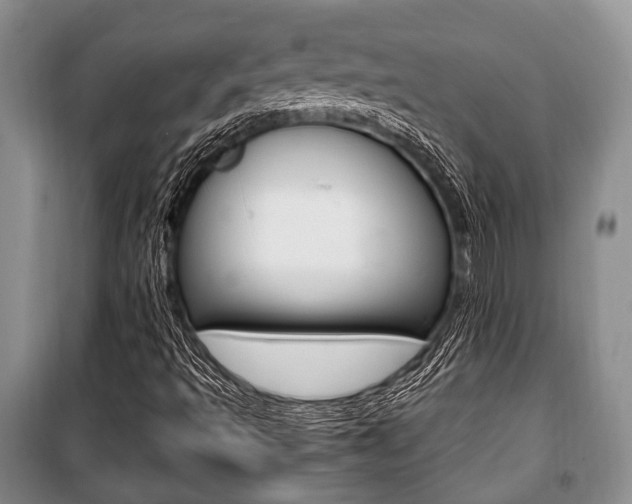 X0000101101493200806261032