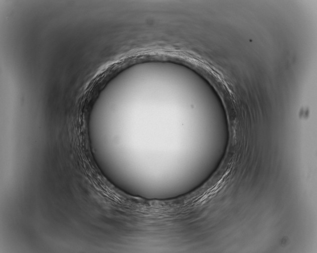 X0000101101494200806261032