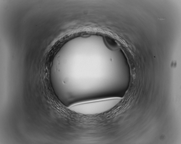 X0000101101495200806261032