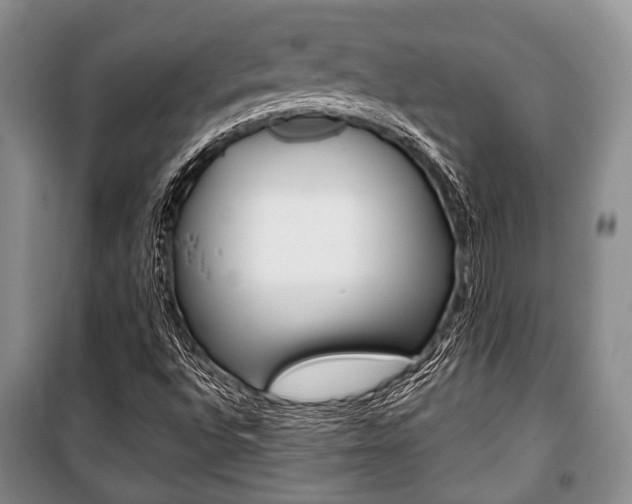 X0000101101496200806261032