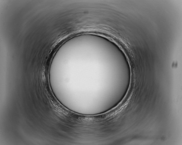 X0000101101497200806261032
