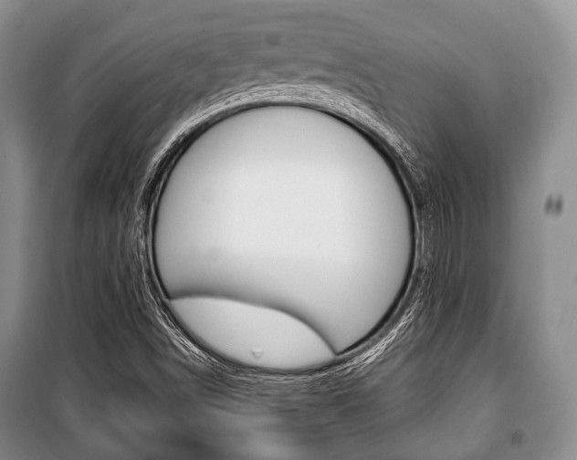 X0000101101498200806261032