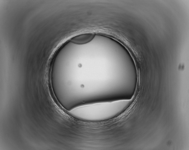 X0000101101500200806261032