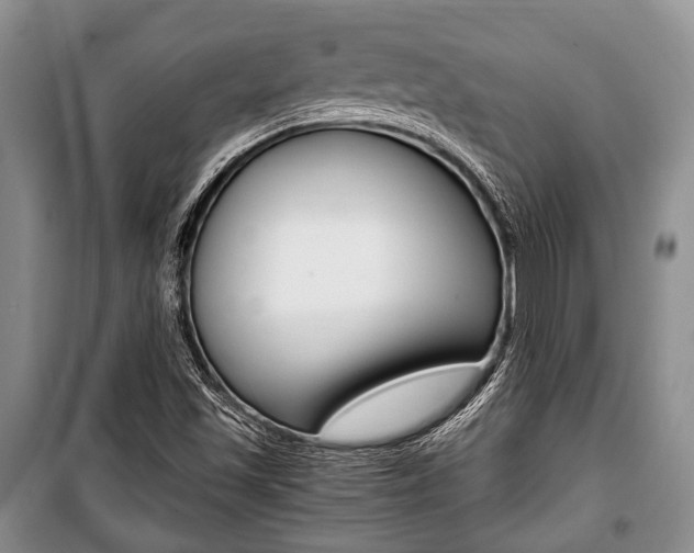 X0000101101501200806261032