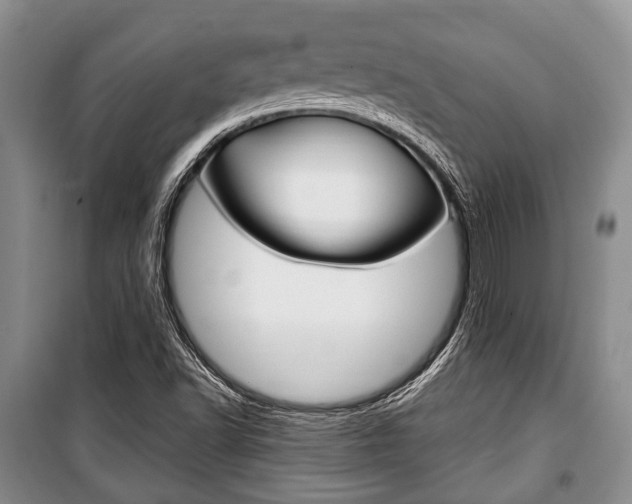 X0000101101502200806261032
