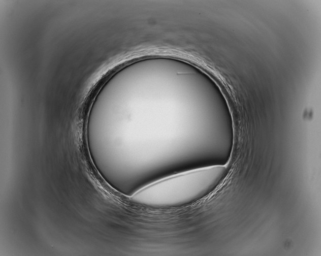 X0000101101503200806261032