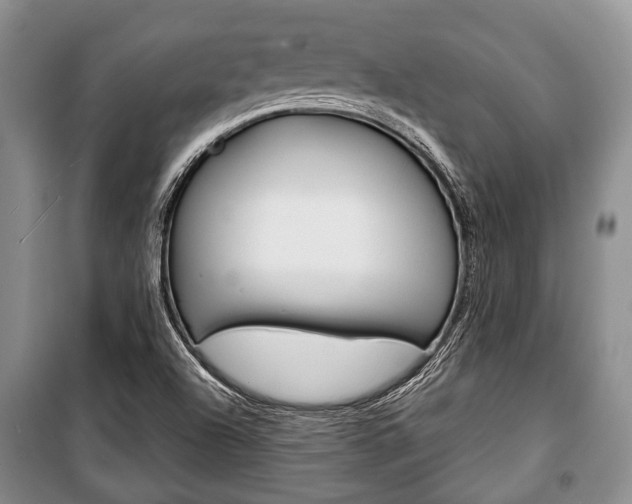 X0000101101504200806261032
