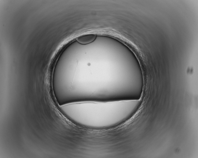 X0000101101506200806261032