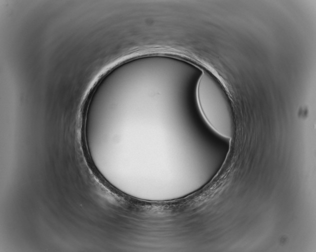 X0000101101508200806261032