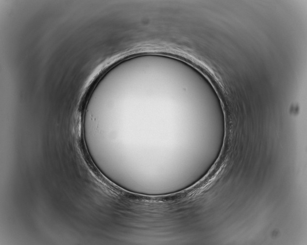X0000101101509200806261032