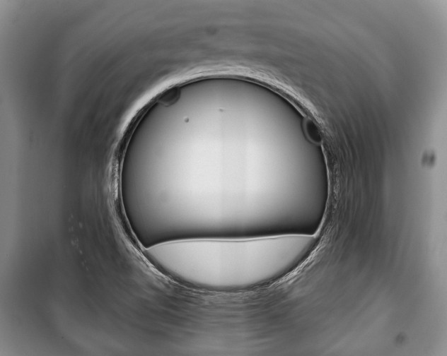 X0000101101510200806261032
