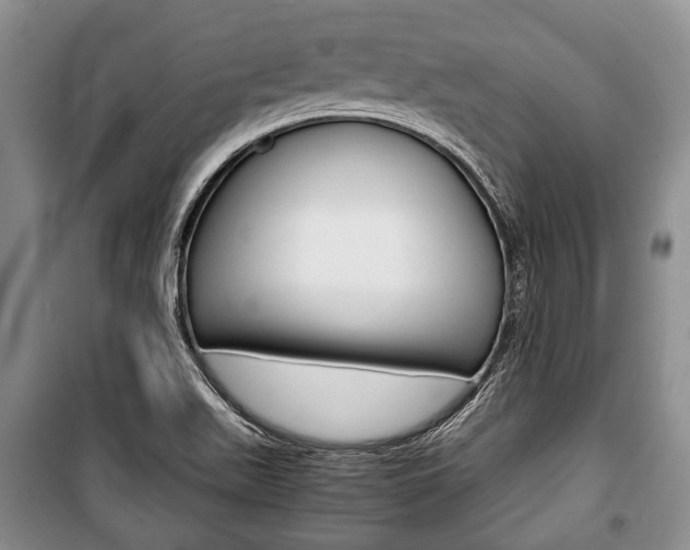 X0000101101511200806261032