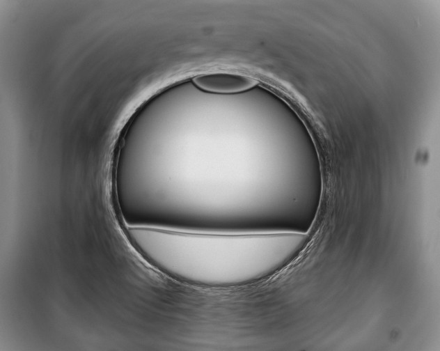 X0000101101512200806261032