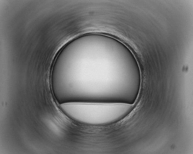 X0000101101513200806261032