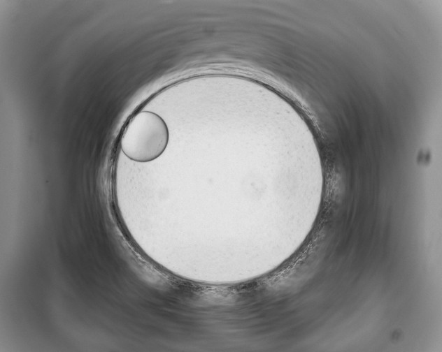 X0000101101514200806261032