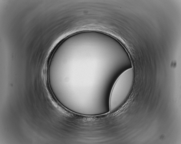 X0000101101515200806261032