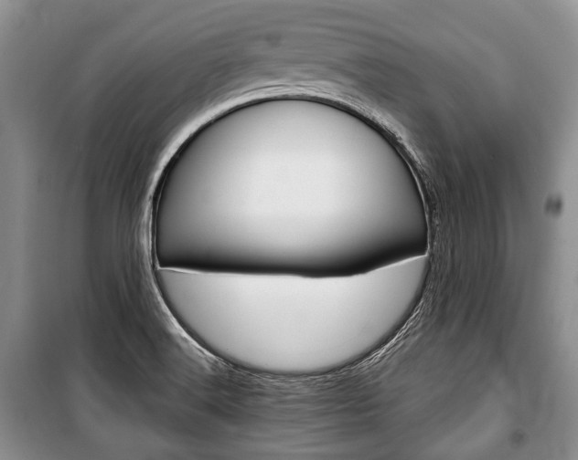 X0000101101516200806261032