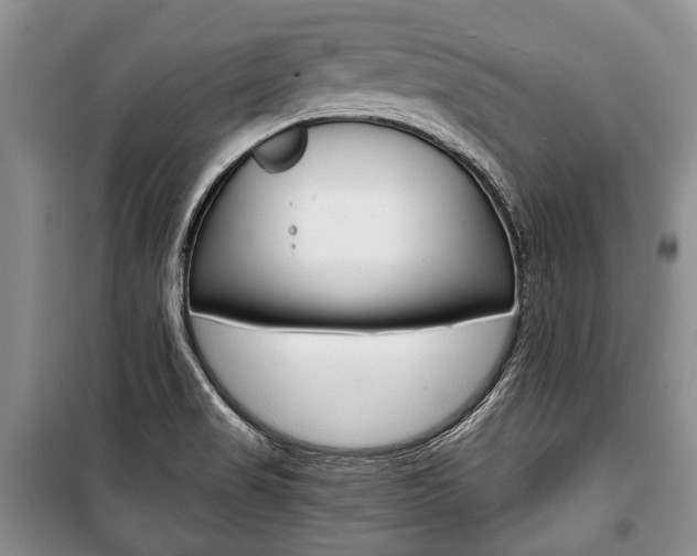 X0000101101517200806261032