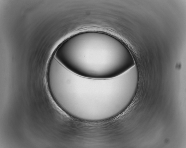 X0000101101518200806261032