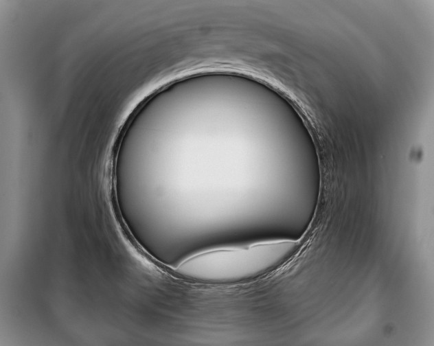 X0000101101519200806261032