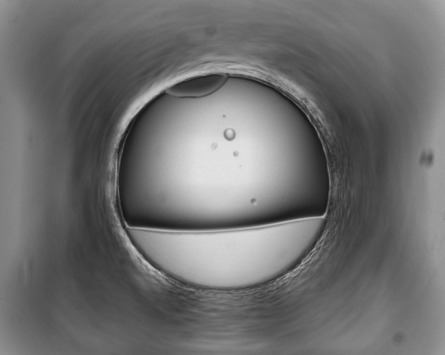 X0000101101520200806261032