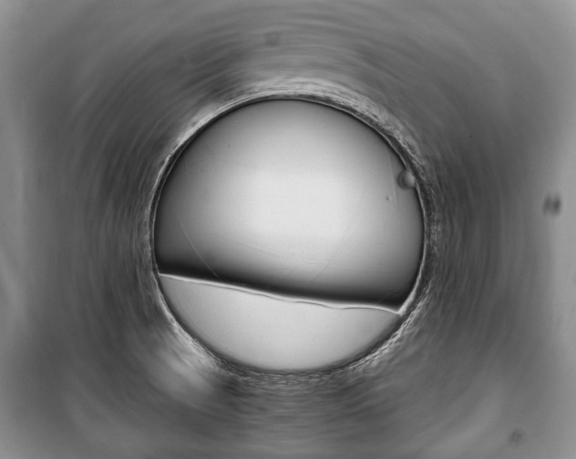 X0000101101521200806261032