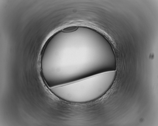 X0000101101522200806261032