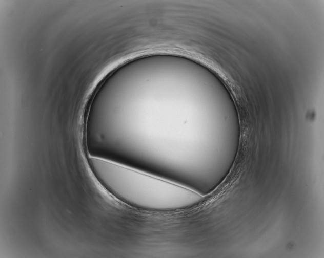 X0000101101523200806261032